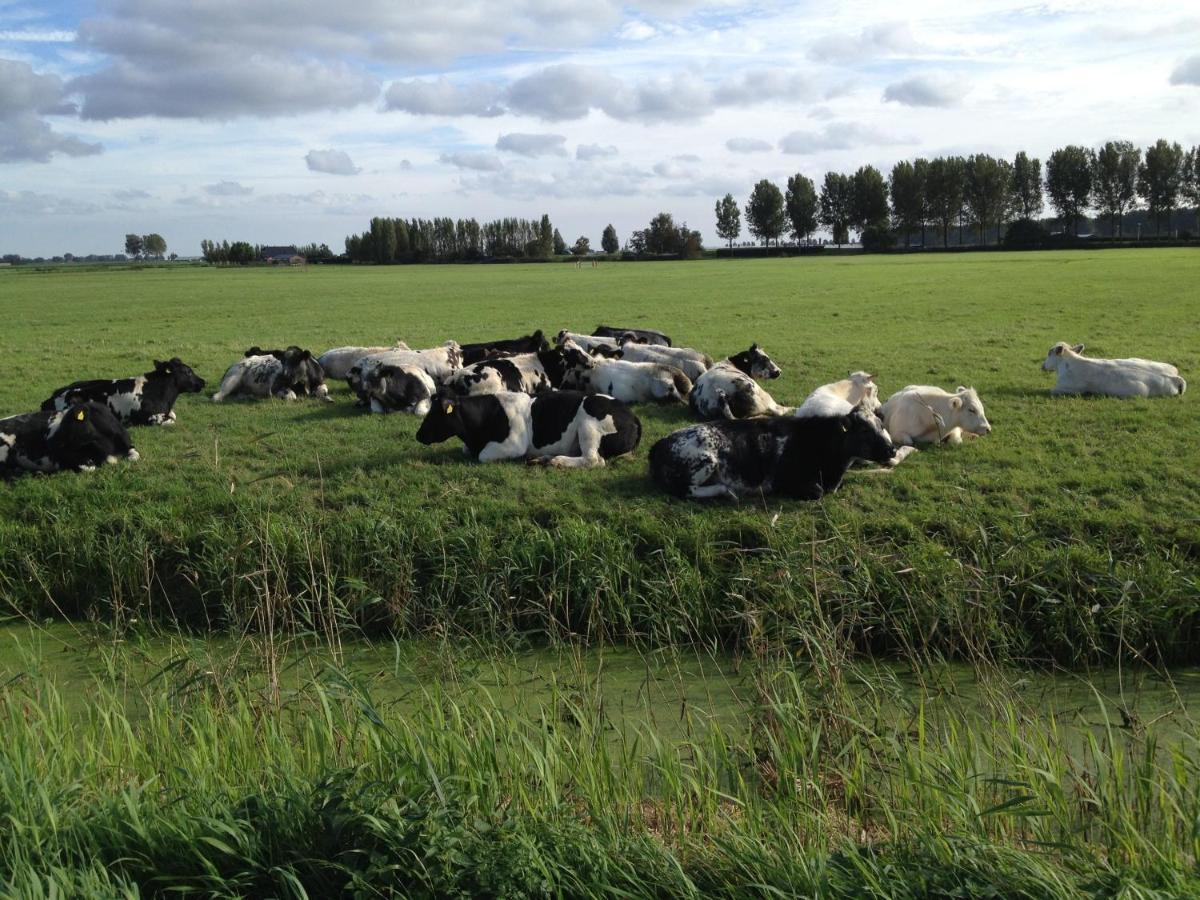 Benb Voorneputten Simonshaven Zewnętrze zdjęcie